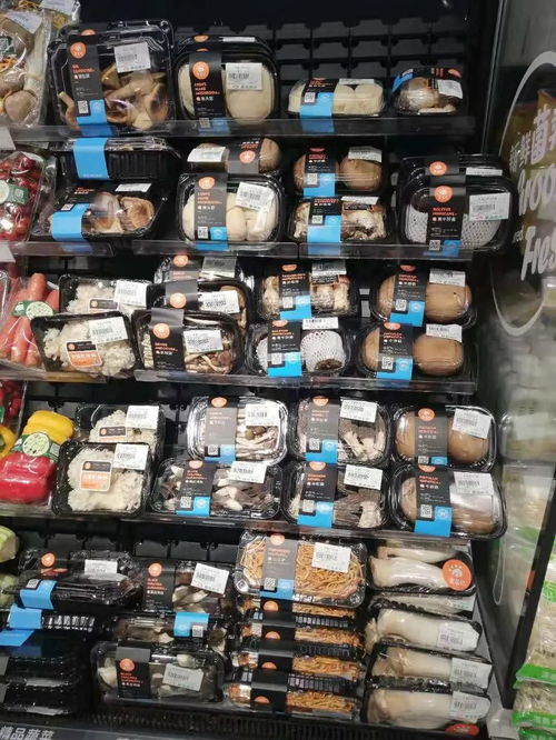 洞見市場(chǎng)趨勢(shì)，陳亮嘴深度調(diào)研奧吉特公司的戰(zhàn)略啟示