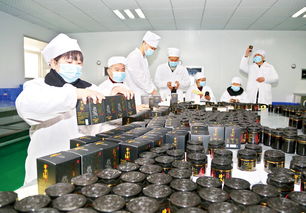 致力研發訂單 生物科技產品的創新之路